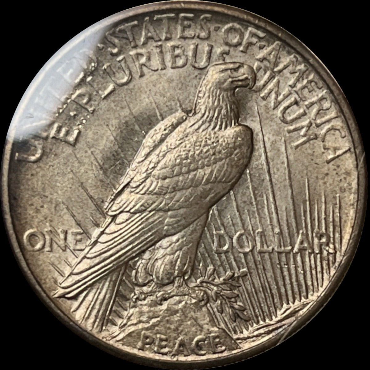 1921-$1-Peace-Dollar-#2